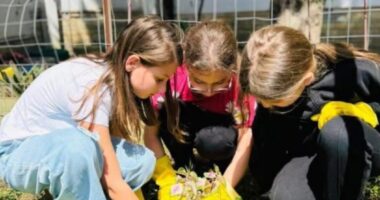 Programi “Toka në Shkollë” afron nxënësit me natyrën