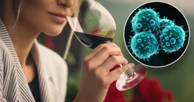 Studimi: Edhe një gotë alkool në ditë mund të rrisë rrezikun e kancerit