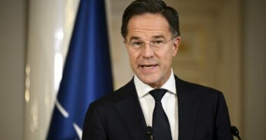 Rutte: Vendet aleate të ngadalta në mbështetje të SHBA për Iranin