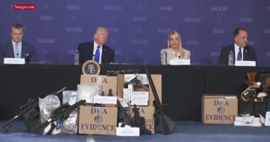 Telashe në kabinetin e Trump/ Ikën sekretarja e punës, Lori Chavez-DeReme akuzohet për probleme me alkoolin