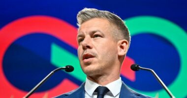 “Nuk përfaqëson unitetin e kombit”, Magyar i kërkon dorëheqjen presidentit të Hungarisë