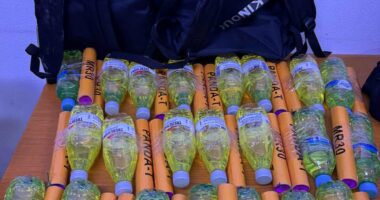 “Shqipëria s’do merret peng”, Lamallari për protestën: Përgëzime policisë për neutralizimin e molotovarëve të përdorur si mish për top për të djegur qytetin