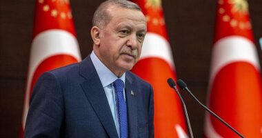 Erdogan: Lufta në Lindjen e Mesme po e dobëson Evropën