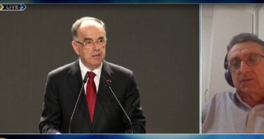 “Vota e diasporës arritje”/ Samiti, Dritan Trimçev: Të kemi përfaqësinë tonë në parlamentin e Shqipërisë