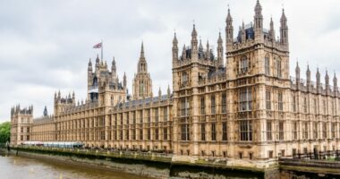 A po mbështesin votuesit britanikë rikthimin e vendit në BE?