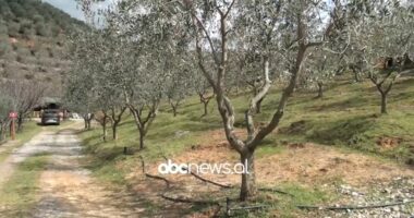 Çekreza e ullinjve/ Si kjo zonë po transformohet nga puna e banorëve të saj