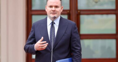 Territorialja/ Ministri Demo: Janë diskutuar disa variante, por s’ka ende qëndrim nga PS