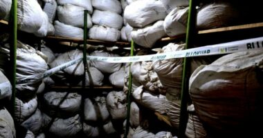 AKU bllokon mbi 3.9 ton produkte bimore pa etiketë në Tiranë, gjobitet subjekti