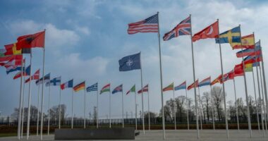 Begaj uron NATO-n për 77-vjetorin: Shqipëria, partner i palëkundur i Aleancës