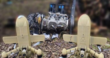 Superheroi ukrainas “Hulk” rrëzon dy dronë rusë nga 500 km larg,  rekord botëror në luftën me dronë!