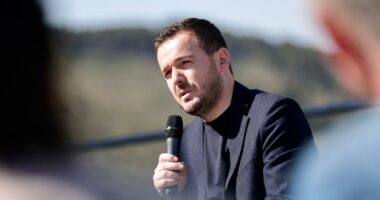 Ministri i Salla: Modeli bujqësor i ndërtuar në Berat, shembull konkret për t’u shtrirë në të gjithë vendin