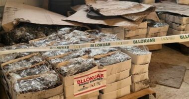 AKU bllokon 110 ton fruta dhe perime/ Shkodër, ndërpritet aktiviteti i subjektit