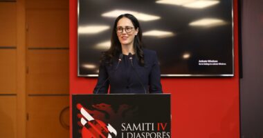 “Investoni në vendin tuaj”, Ibrahimaj në Samitin e Diasporës: Lehtësi fiskale për investime në disa sektorë