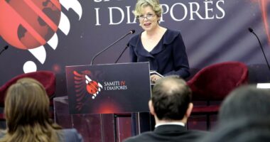 Ministrja Sala: Diaspora, partner i pazëvendësueshëm në transformimin e sistemit shëndetësor shqiptar