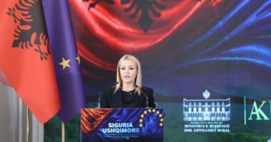 “Asnjë produkt i rrezikshëm s’do të jetë në treg” Gjylameti: AKU partner i drejtë dhe transparent