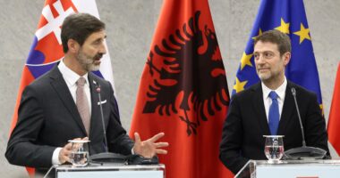 Integrimi, Sllovakia konfirmon progresin: Ministri i Jashtëm: Shqipëria pranë rekordeve të shpejtësisë
