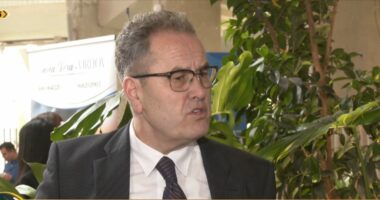 Ndihma e parë pas aksidenteve/ Apeli i mjekëve: Ndihma para mbërritjes së urgjencës, shumë e kujdesshme