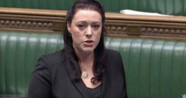 Deputetja britanike për shkurtimet financiare të BE-së në Serbi: Brukseli më në fund po zgjohet