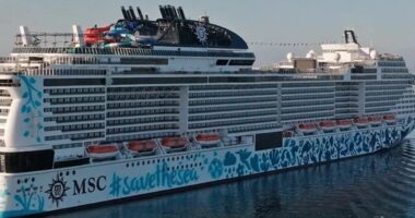 Anijet turistike zvicerane dhe gjermane largohen nga Ngushtica e Hormuzit