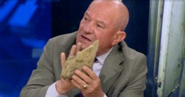 Zjarri që dogji Tiranën/ Inxhinieri sjell në ‘Real Story’ materiale të fasadës: Termoizolimi është ‘lesh guri’