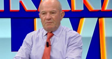 “Molotovët klasifikohen armë luftarake”, protesta e PD, Meçe: Ligji ‘mbron’ reagimin e uniformave blu