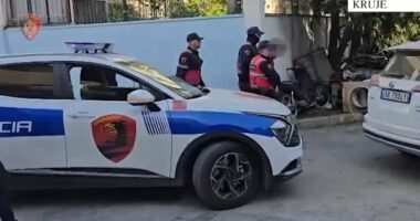 Vrau fqinjin në Nikël, momenti kur autori shoqërohet në polici me pranga