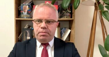 “Zgjedhjet janë të pashmangshme”, Bajraktari: Albulena Haxhiu në krye të shtetit mund të jetë një manovër e Kurtit