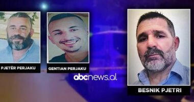 Vrau ish-vjehrrin dhe ish-kunatin në Lezhë/ Gjykata e Lartë lë në fuqi dënimin me burg përjetë për Besnik Pjetrin