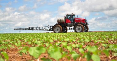 Hyn në fuqi skema për fermerët/ Grant 10 mijë euro blegtorët e fermerët e rinj