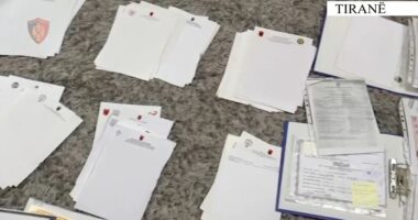 Diploma dhe licenca profesionale të falsifikuara/ Zbulohet “laboratori” i dokumenteve në Tiranë, pranga 51-vjeçarit