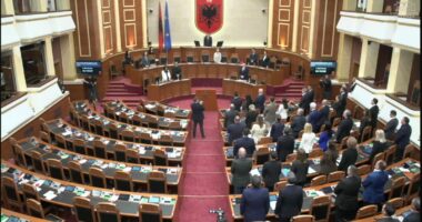 Kuvendi nderon me një minutë heshtjeje akademikun Rexhep Qose, mungon opozita