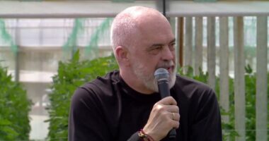 Rama prezanton programin për fermerët: Deri në 2 milionë euro mbështetje, qeverinë e keni nga pas