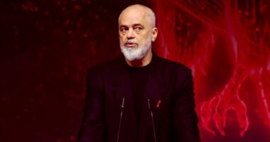 Samiti IV i Diasporës/ Rama: Diaspora forcë transformueseve, Shqipëria e fton në pjesëmarrjen për ndërtimin e së ardhmes