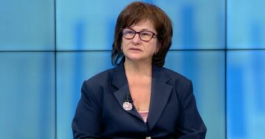 Rishikimi i skemës së pensioneve/ Treska: Pozitive, por duhet trajtuar me kujdes! Skema e sigurimeve të detyrueshme nuk do ndryshojë