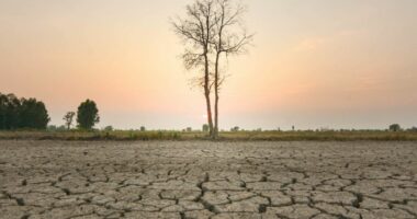 Fenomeni ‘El Nino’ kthehet në maj/ Si do të ndikojë në parashikimin e motit