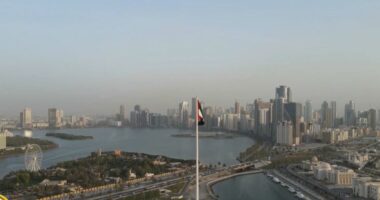 Largimi i Emirateve Arabe nga OPEC, analistët parashikojnë ulje të ndikimit të organizatës në tregje