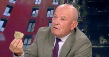 Zjarri në pallat/ Meçe: Në lejen e ndërtimit paraqiten edhe materialet që përdoren për veshjen e fasadës