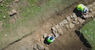 Rama ndan videon: Zbulime arkeologjike në Murrizë të Lushnjës, vijojnë gërmimet në Kodrën e Pusit