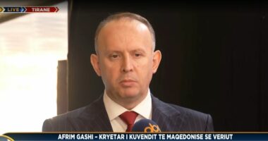 Përdorimi i Gjuhës Shqipe në RMV/ Afrim Gashi për ABC News: Është formuar grupi i punës, shumë shpejt do ketë zgjidhje