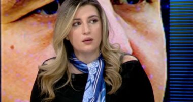 Protesta për shqipen në Shkup/ “ Çështje identitare”, Gjyli: Heqin vëmendjen nga detyrimi duke u fokusuar te procedura