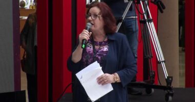 “Kosovë, je dhimbje e gjallë”, shkrimtarja prek me vargjet në Samitin e Diasporës: Në Hagë s’janë vetëm ata burra..