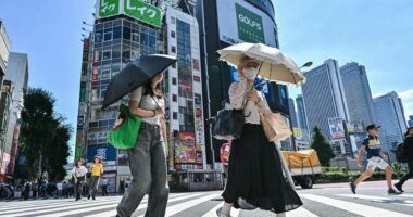 Japonia nxjerr emër të ri për vapën përvëluese: Temperatura “brutalisht” të larta!