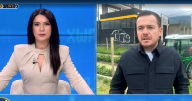 Skema kombëtare për fermerët/ Ministri Salla për ABC News: Skema e financimit është sipas kërkesës së fermerët