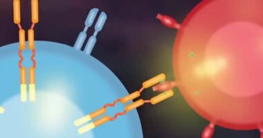 Aktori shërohet nga kanceri/ 5 vite me limfome, Sam Neill u trajtua me terapinë e geneve