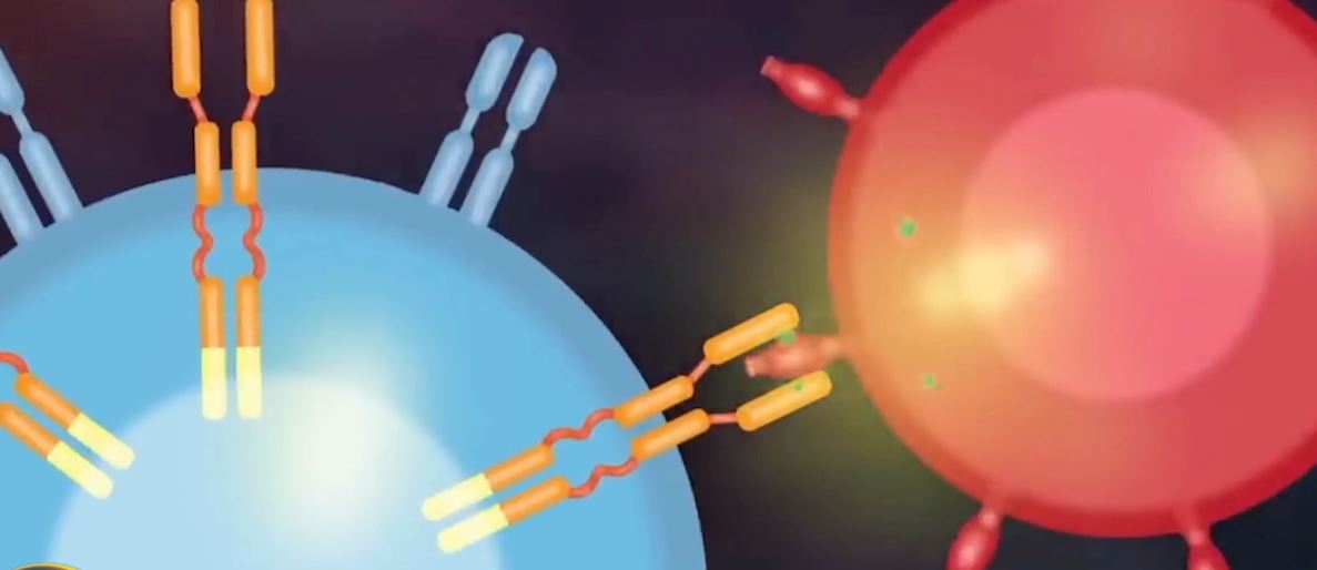 Aktori shërohet nga kanceri  5 vite me limfome  Sam Neill u trajtua me terapinë e geneve