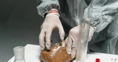 Kokainë në lumenj, studimi ngre alarmin!