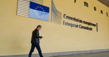 BE mbyll grupin “Signal”, frika nga sulmet kibernetike