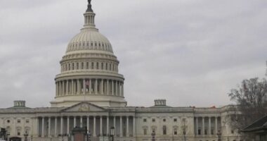 Dënimet me vdekje në SHBA/ Administrata Trump: Edhe me pushkatim, gaz dhe elektroshok