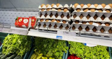 Kosovë, kalon projektligji për çmimet tavan/ Opozita akuza qeverisë: Po ndërhyni në tregun e lirë