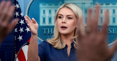 Trump kritikon NATO-n: Aleanca dështoi, pritet takim me Mark Rutte në Uashington